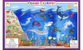 Ocean Placemat